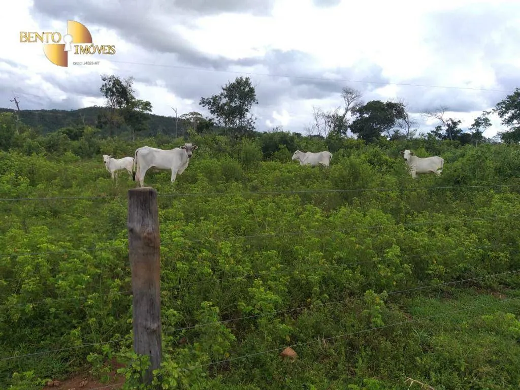 Fazenda à venda de 2.126 ha em Tesouro, MT, Brasil