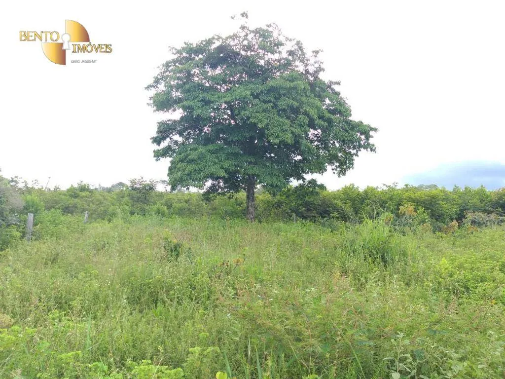 Fazenda à venda de 2.126 ha em Tesouro, MT, Brasil