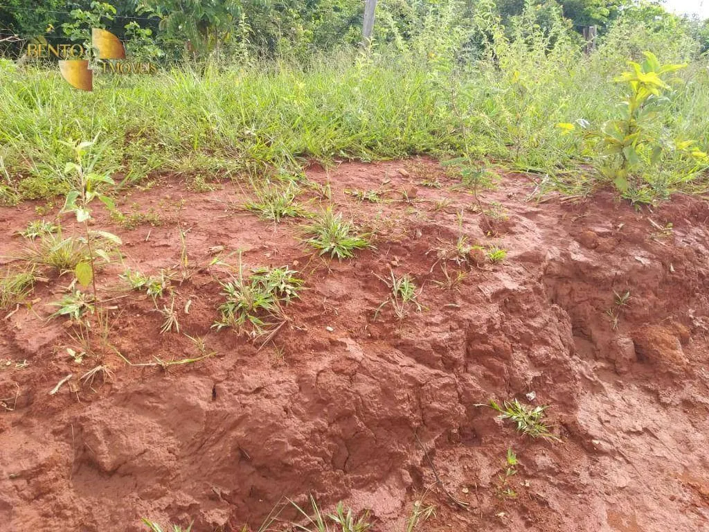 Fazenda à venda de 2.126 ha em Tesouro, MT, Brasil