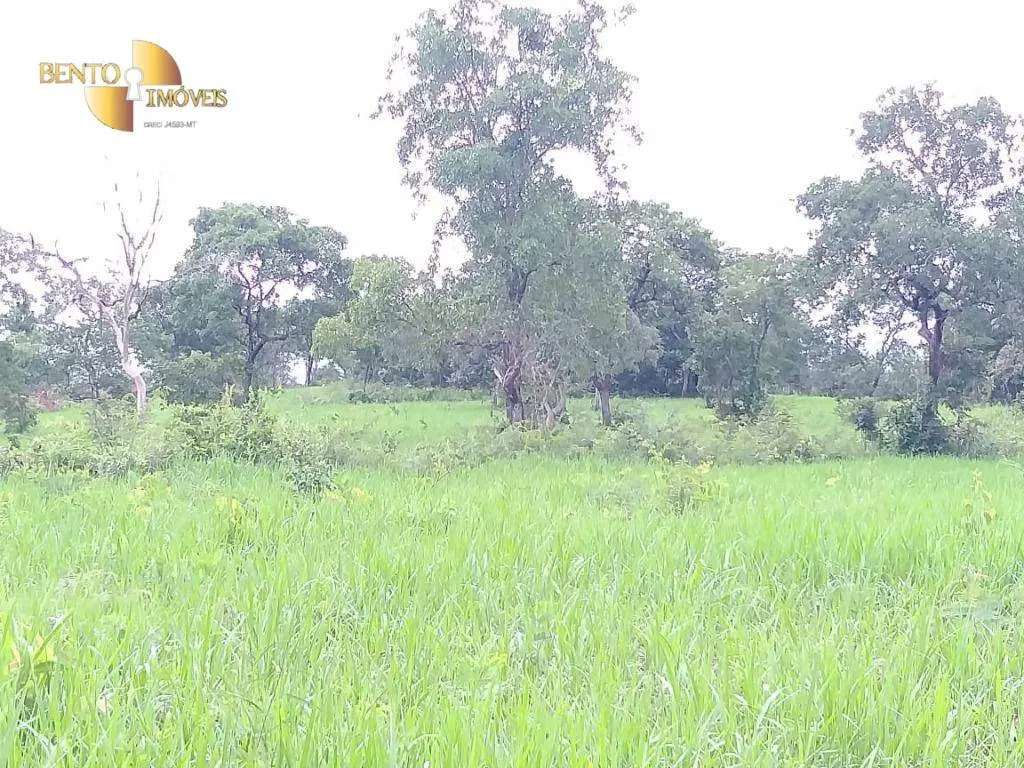 Fazenda à venda de 2.126 ha em Tesouro, MT, Brasil