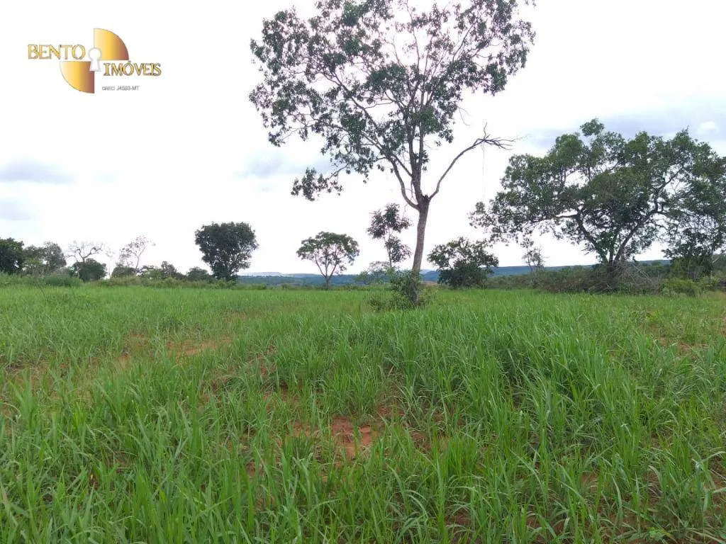 Fazenda à venda de 2.126 ha em Tesouro, MT, Brasil
