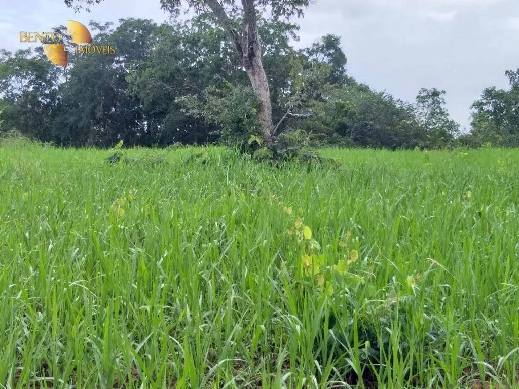Fazenda à venda de 2.126 ha em Tesouro, MT, Brasil