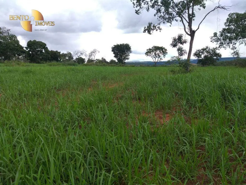 Fazenda à venda de 2.126 ha em Tesouro, MT, Brasil
