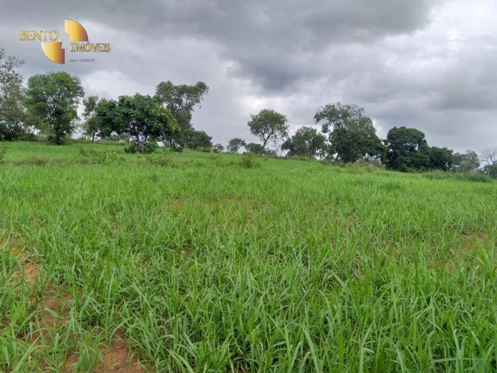 Fazenda à venda de 2.126 ha em Tesouro, MT, Brasil
