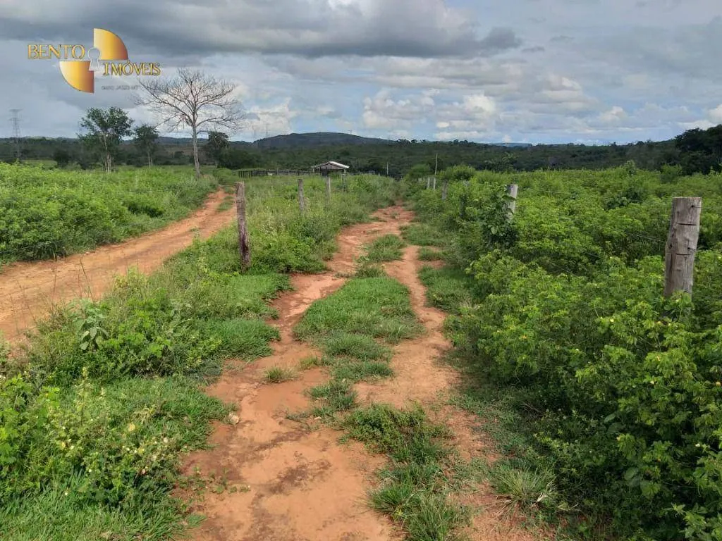 Fazenda à venda de 2.126 ha em Tesouro, MT, Brasil