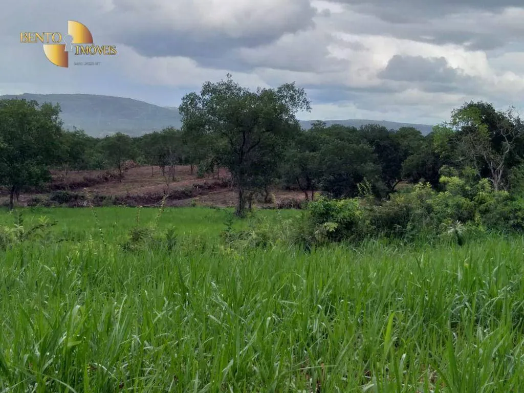 Fazenda à venda de 2.126 ha em Tesouro, MT, Brasil