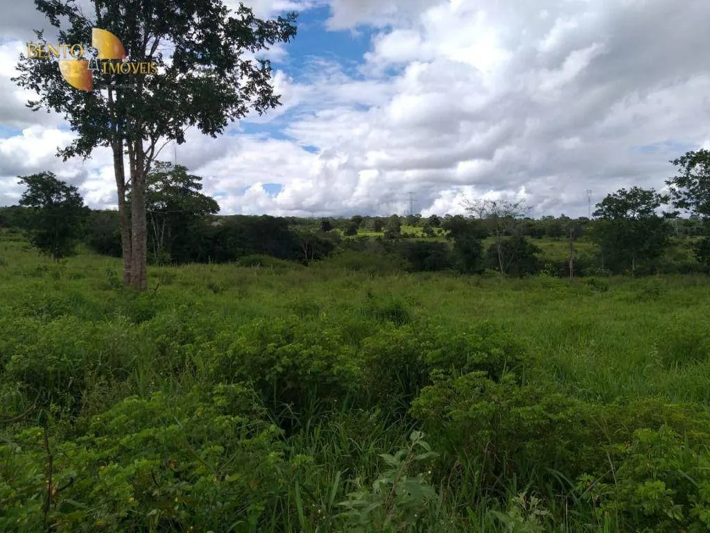 Fazenda à venda de 2.126 ha em Tesouro, MT, Brasil