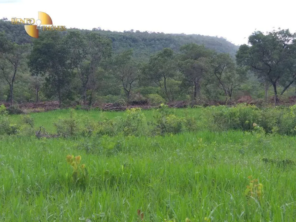 Fazenda à venda de 2.126 ha em Tesouro, MT, Brasil