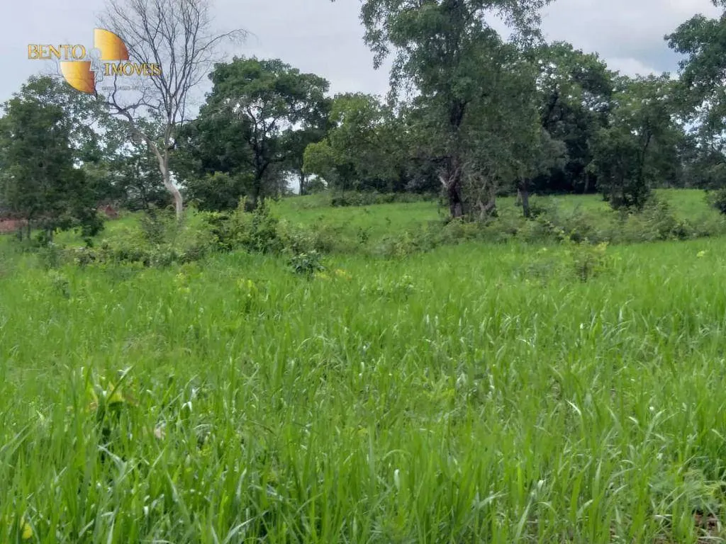 Fazenda à venda de 2.126 ha em Tesouro, MT, Brasil