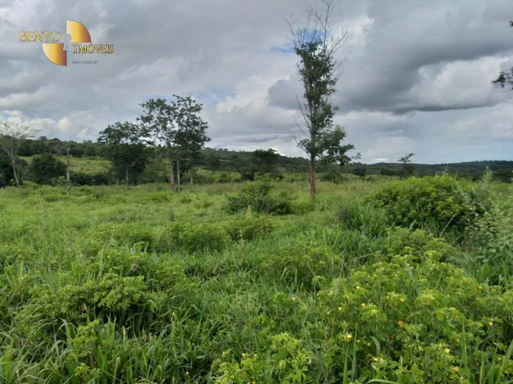 Fazenda à venda de 2.126 ha em Tesouro, MT, Brasil