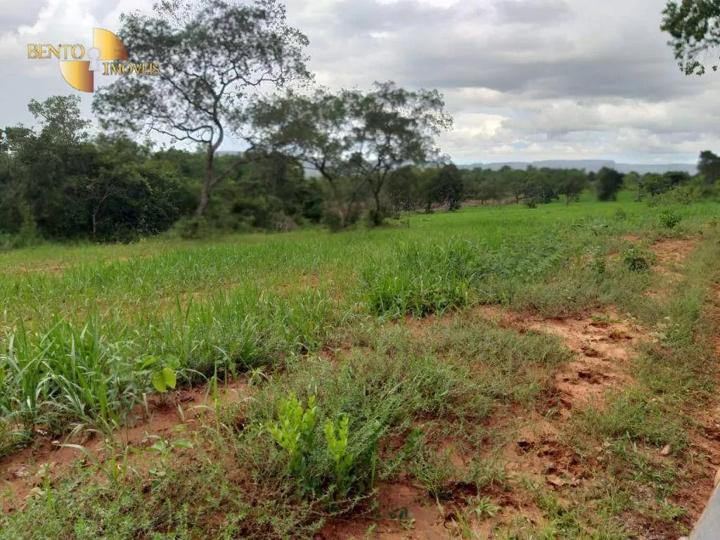 Fazenda à venda de 2.126 ha em Tesouro, MT, Brasil