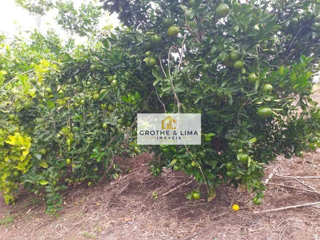 Chácara à venda de 2 ha em São José dos Campos, SP, Brasil