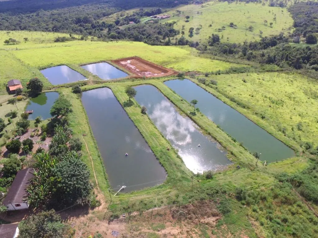 Sítio à venda de 44 ha em Abadiânia, GO, Brasil