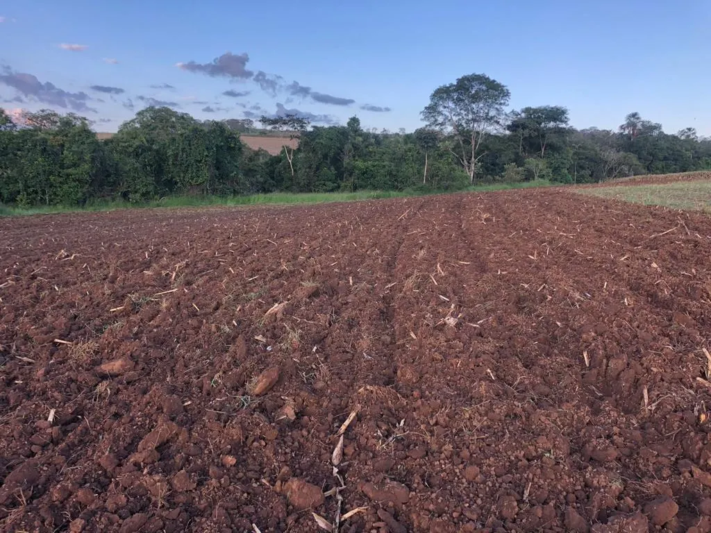 Sítio à venda de 44 ha em Abadiânia, GO, Brasil
