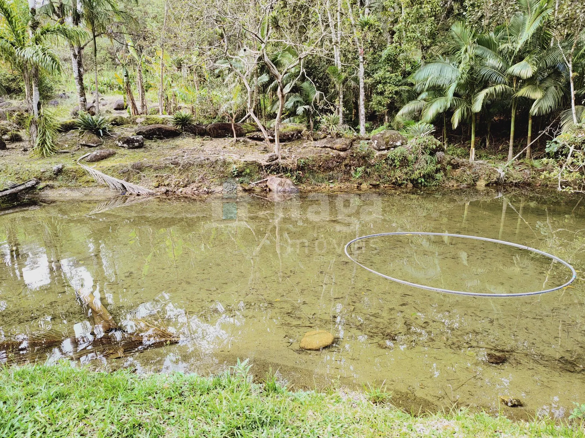 Fazenda à venda de 5 ha em Guabiruba, SC, Brasil
