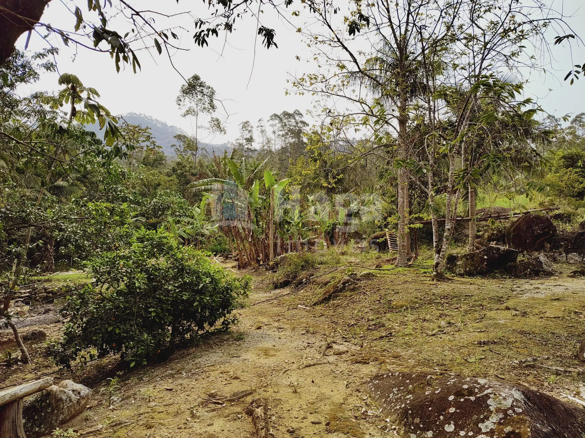 Fazenda à venda de 5 ha em Guabiruba, SC, Brasil