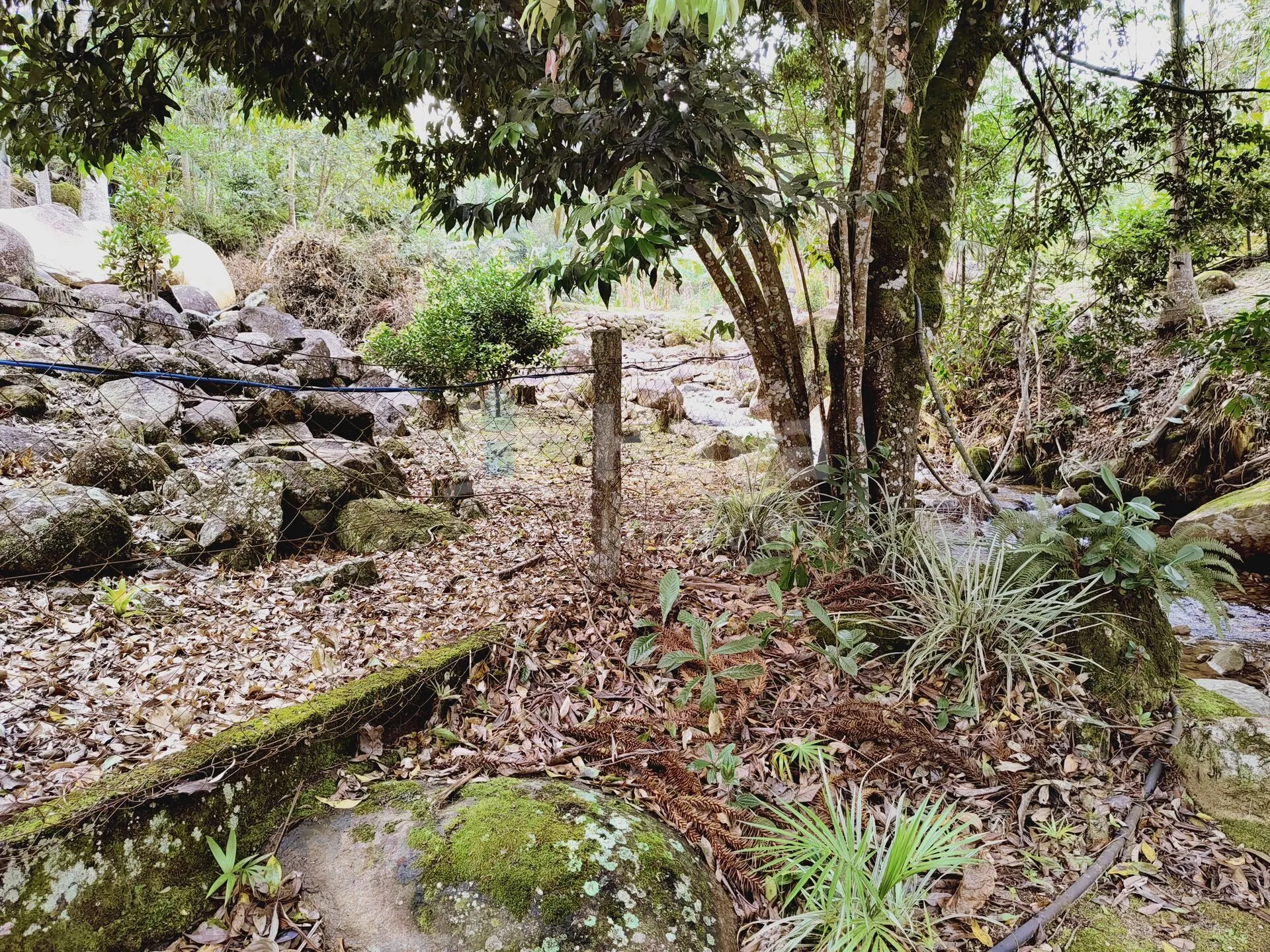 Fazenda à venda de 5 ha em Guabiruba, SC, Brasil