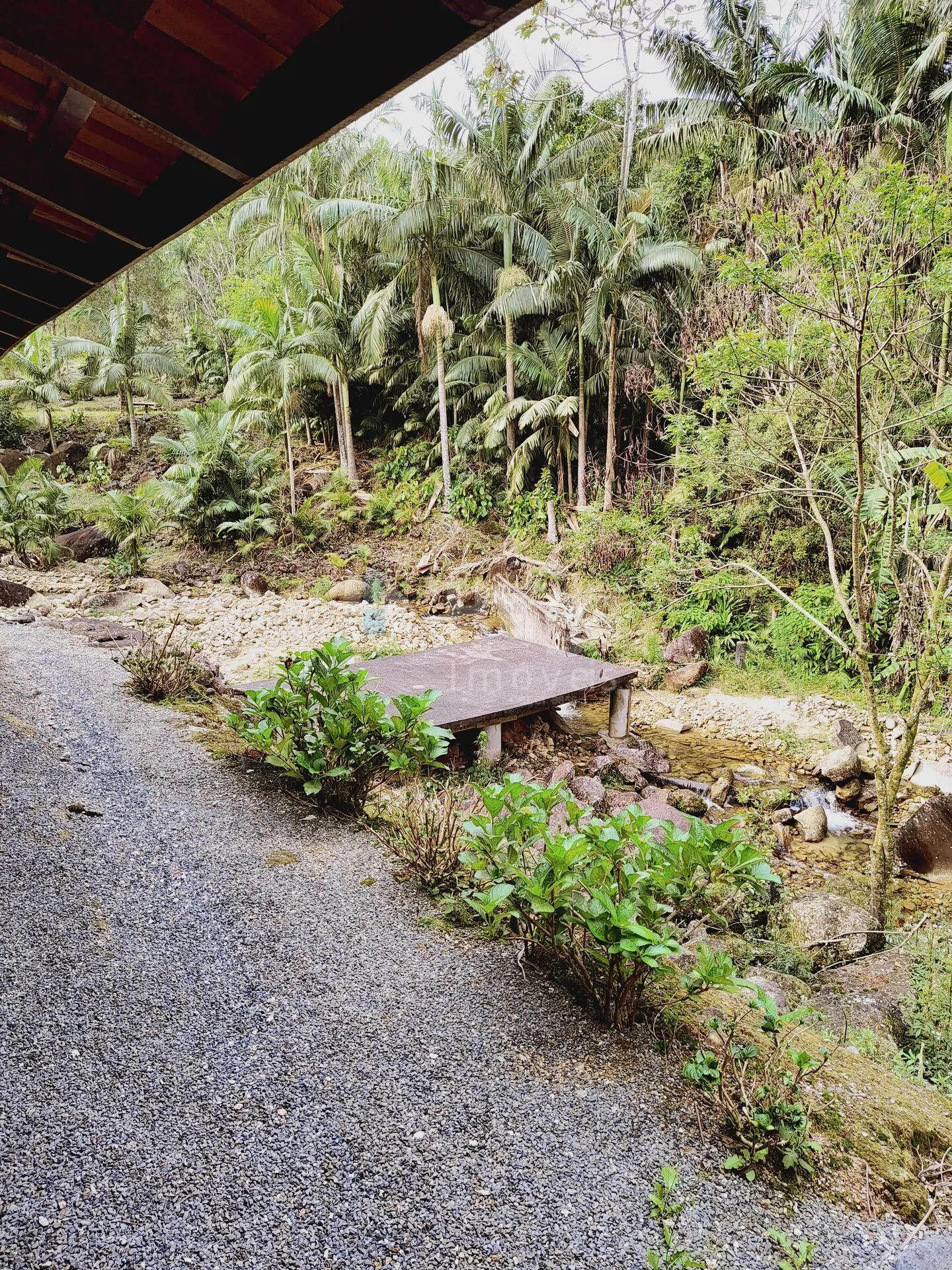Fazenda à venda de 5 ha em Guabiruba, SC, Brasil