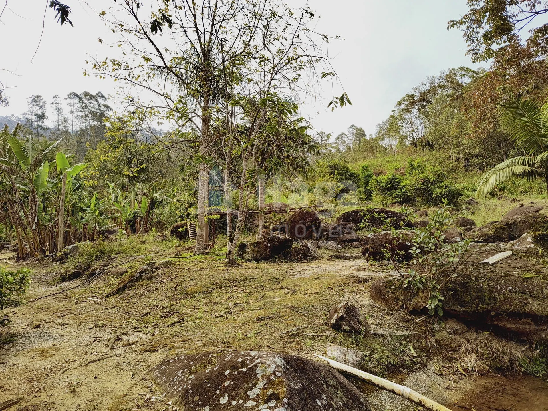 Fazenda à venda de 5 ha em Guabiruba, SC, Brasil