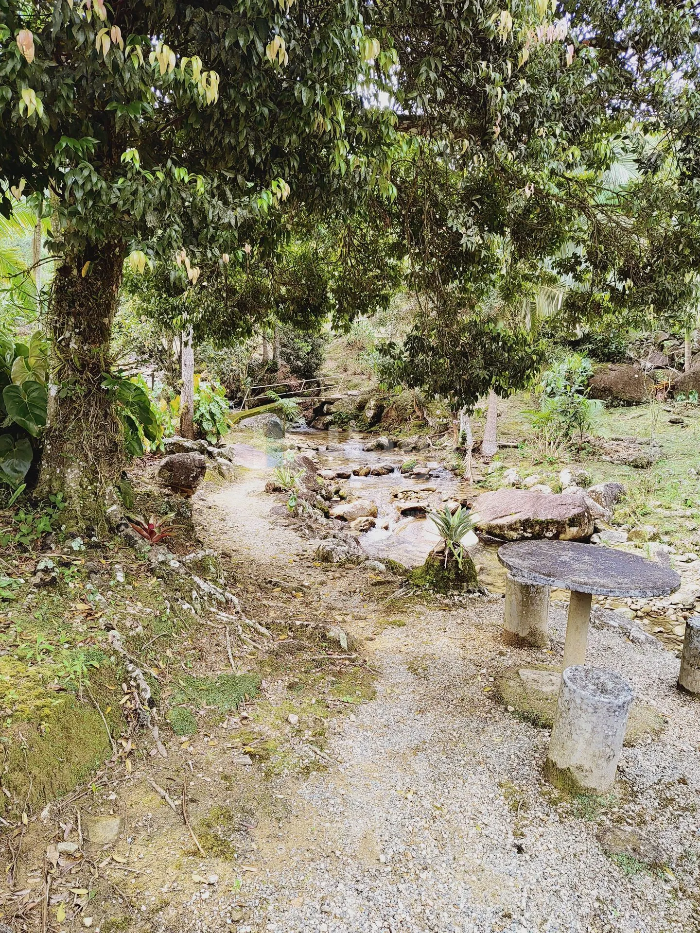 Fazenda à venda de 5 ha em Guabiruba, SC, Brasil
