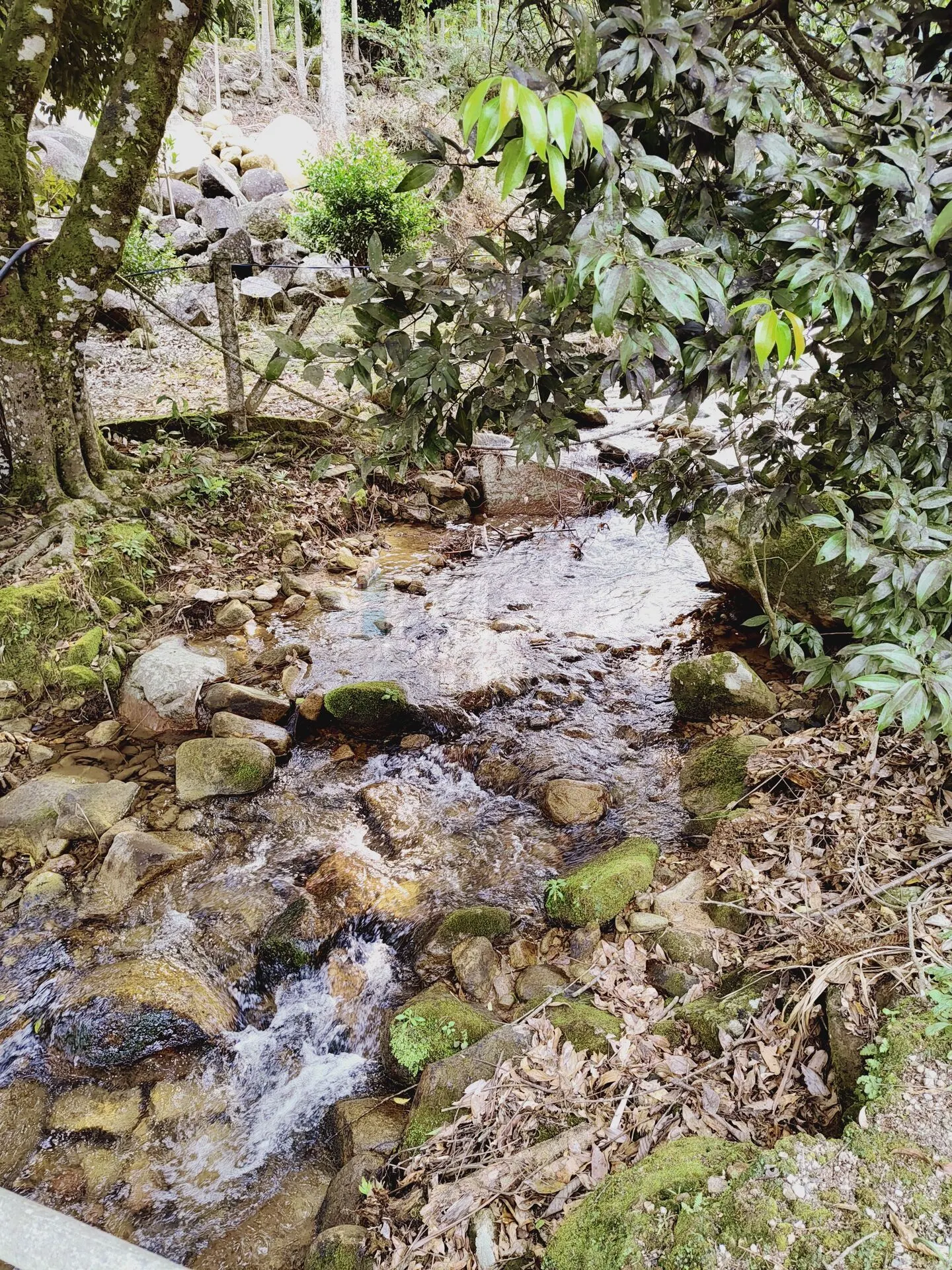 Fazenda à venda de 5 ha em Guabiruba, SC, Brasil