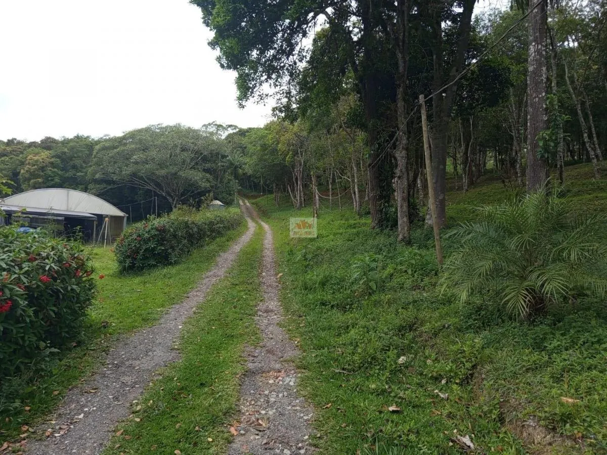Sítio à venda de 7 ha em Juquitiba, SP, Brasil