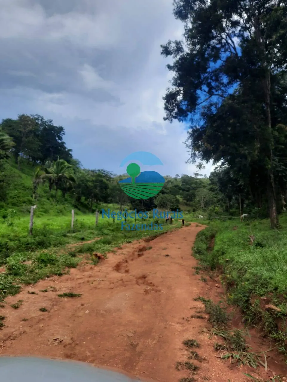 Fazenda à venda de 401 ha em Mimoso de Goiás, GO, Brasil