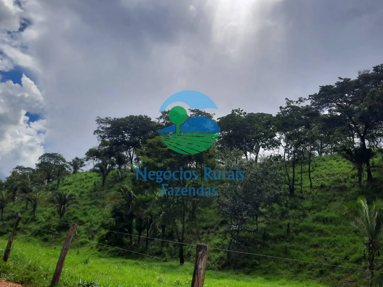 Fazenda à venda de 401 ha em Mimoso de Goiás, GO, Brasil