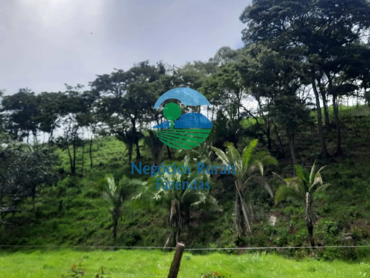 Fazenda à venda de 401 ha em Mimoso de Goiás, GO, Brasil