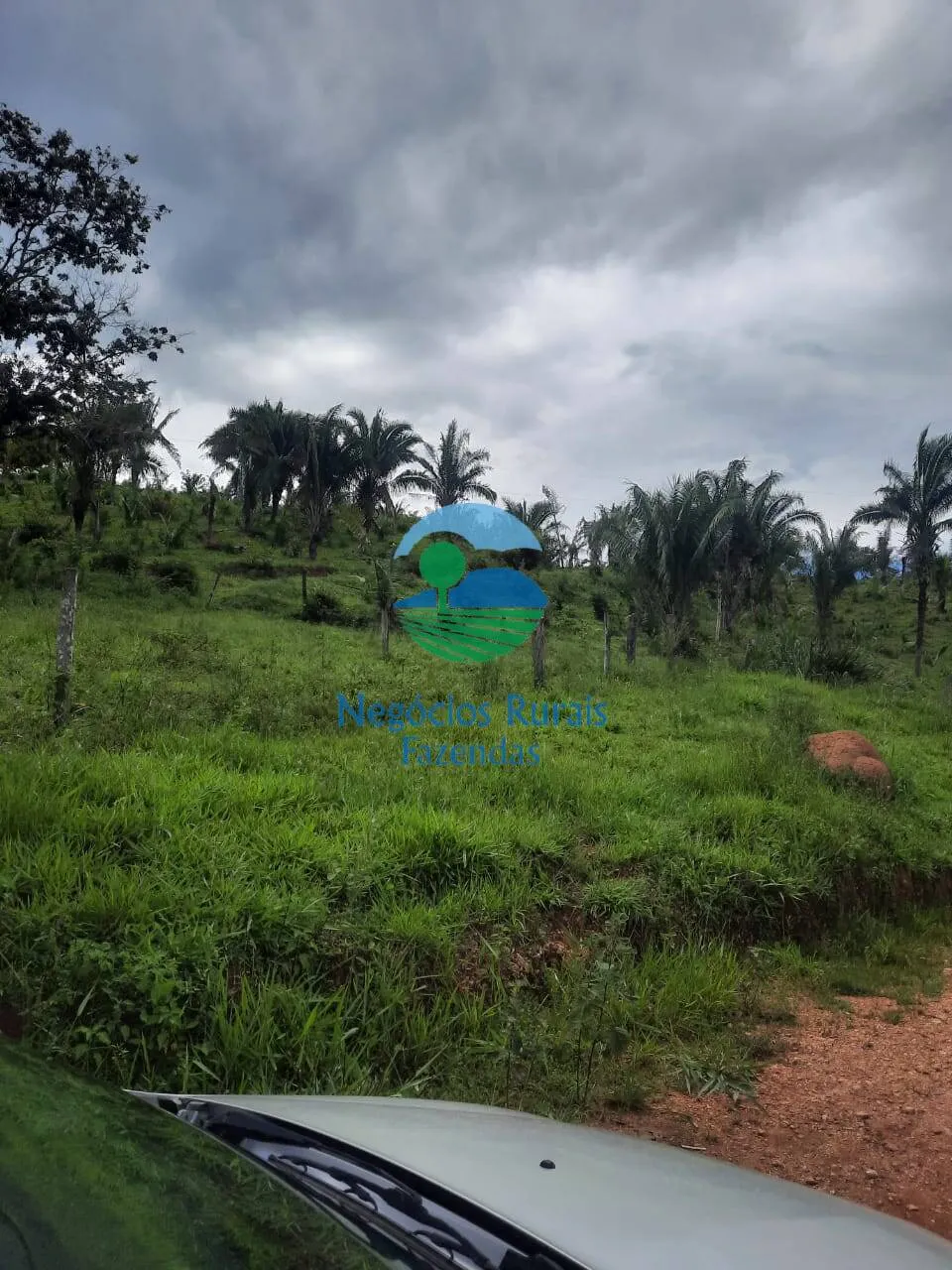 Fazenda à venda de 401 ha em Mimoso de Goiás, GO, Brasil