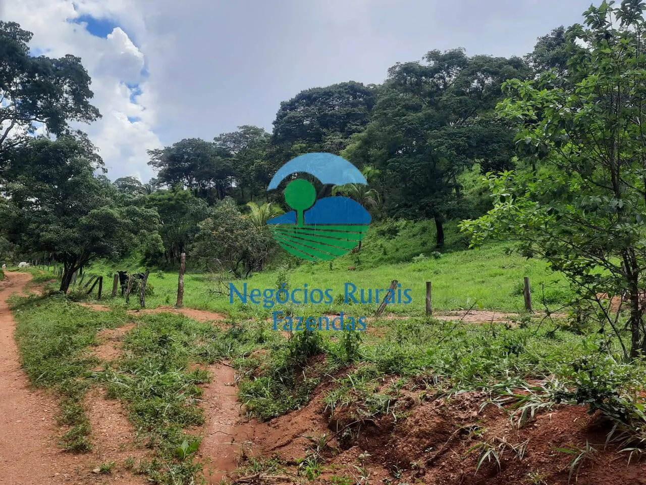 Fazenda à venda de 401 ha em Mimoso de Goiás, GO, Brasil