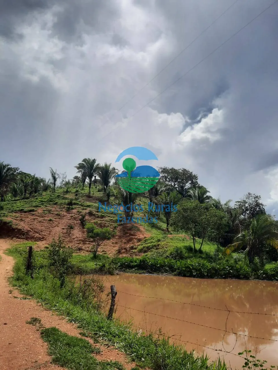 Fazenda à venda de 401 ha em Mimoso de Goiás, GO, Brasil