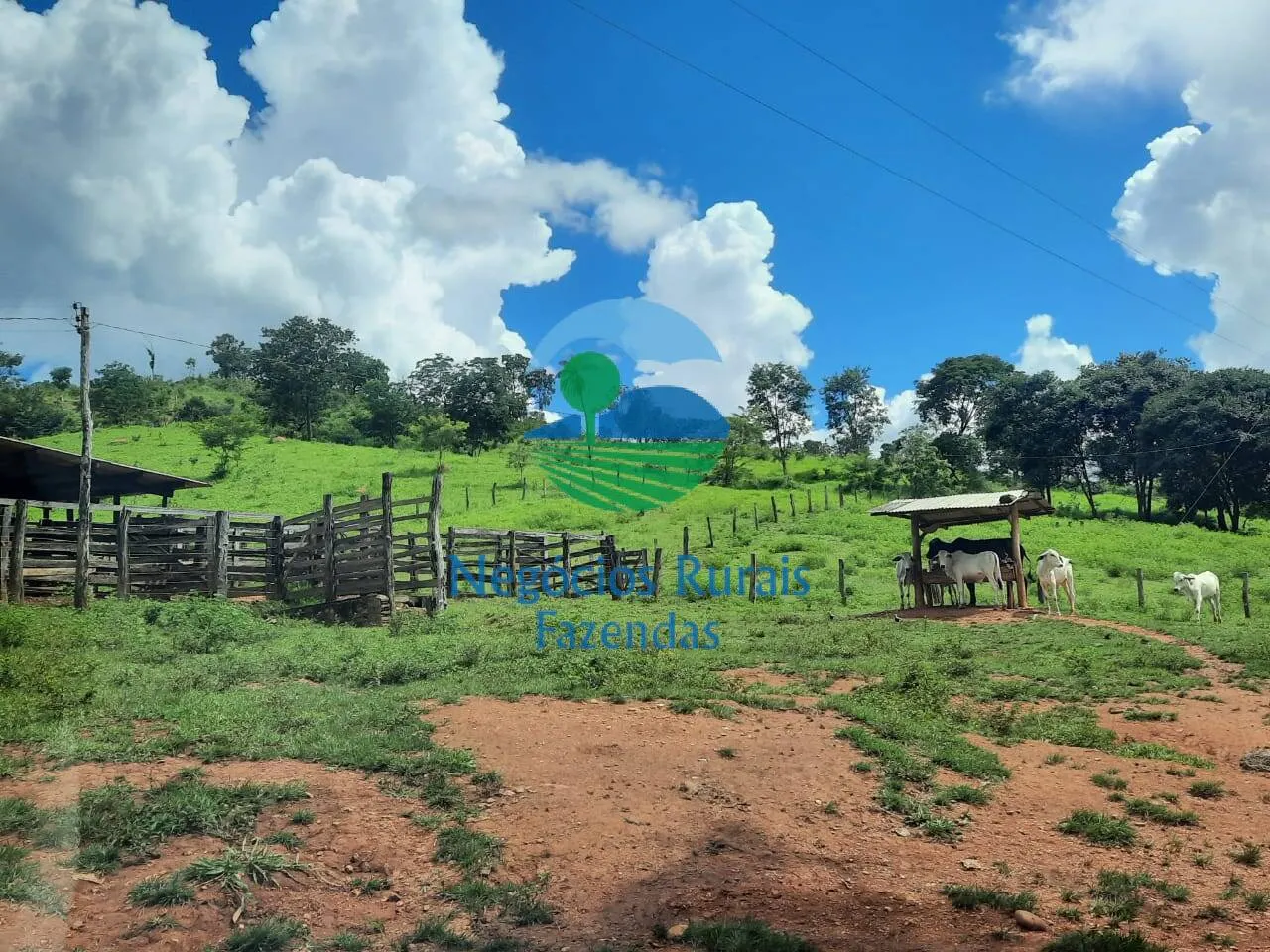 Fazenda à venda de 401 ha em Mimoso de Goiás, GO, Brasil