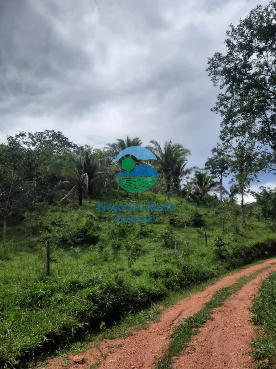 Fazenda à venda de 401 ha em Mimoso de Goiás, GO, Brasil