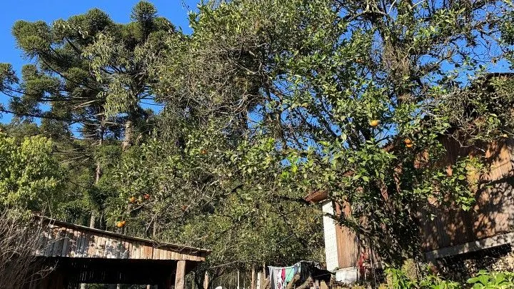 Sítio à venda de 18 ha em Sapiranga, RS, Brasil