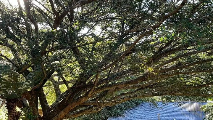 Sítio à venda de 18 ha em Sapiranga, RS, Brasil