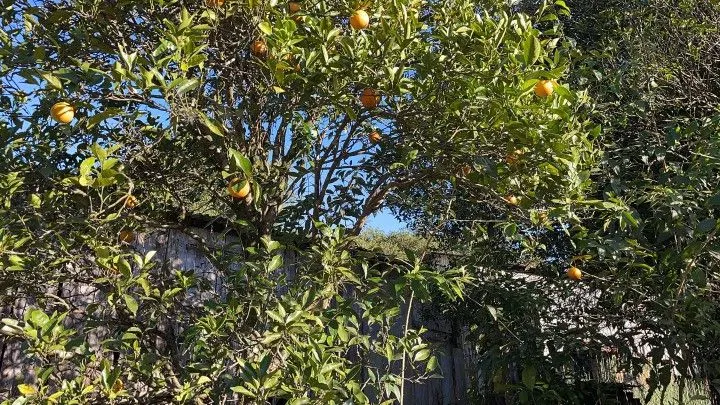 Sítio à venda de 18 ha em Sapiranga, RS, Brasil