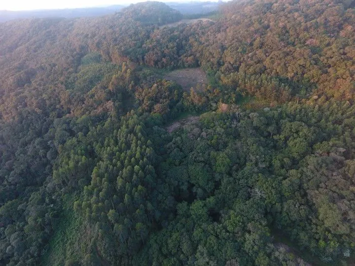 Sítio à venda de 18 ha em Sapiranga, RS, Brasil