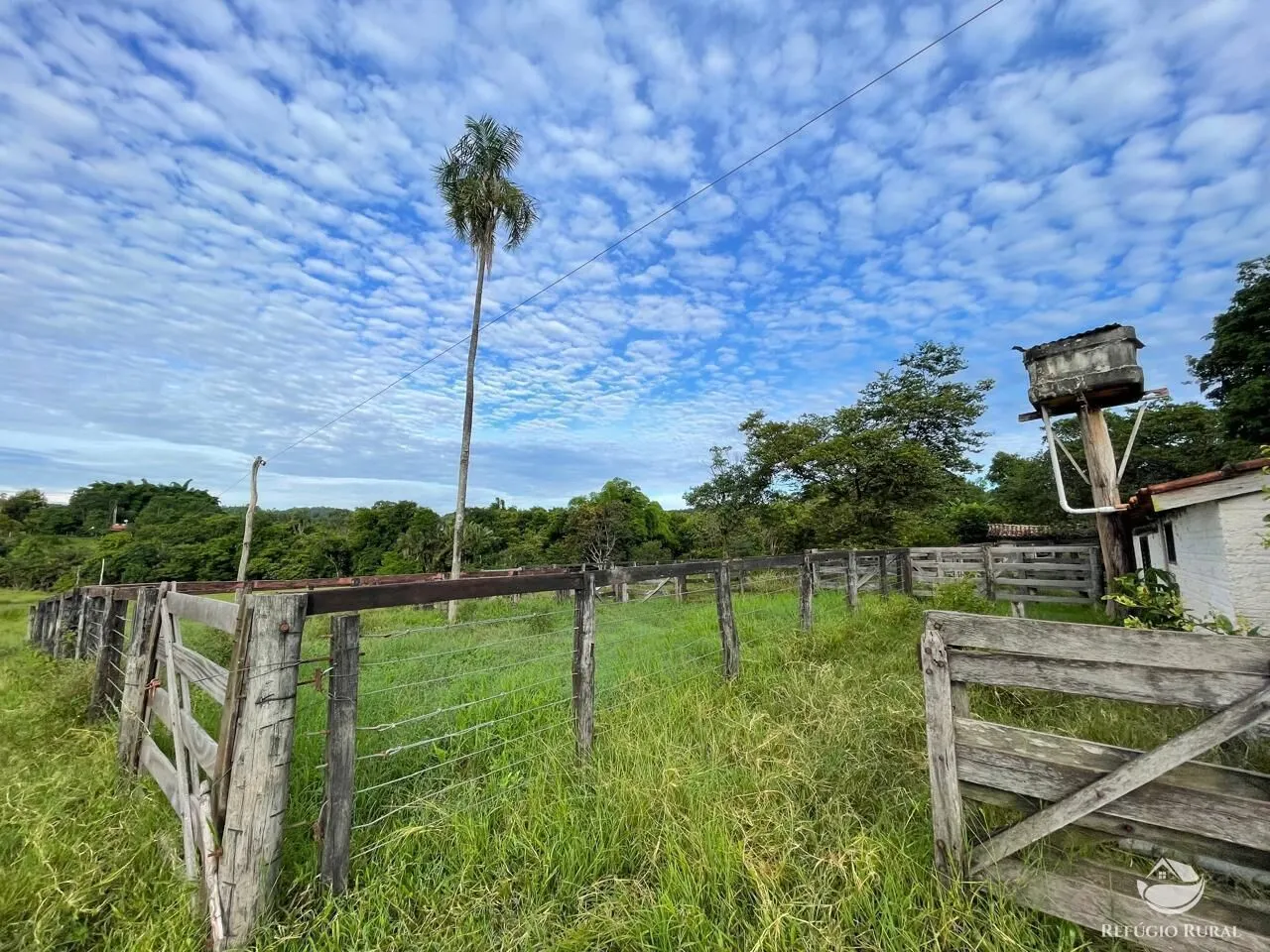 Fazenda à venda de 208 ha em Goiás, GO, Brasil