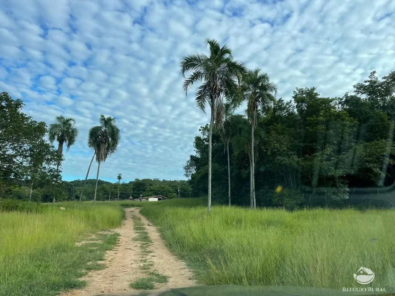Fazenda à venda de 208 ha em Goiás, GO, Brasil