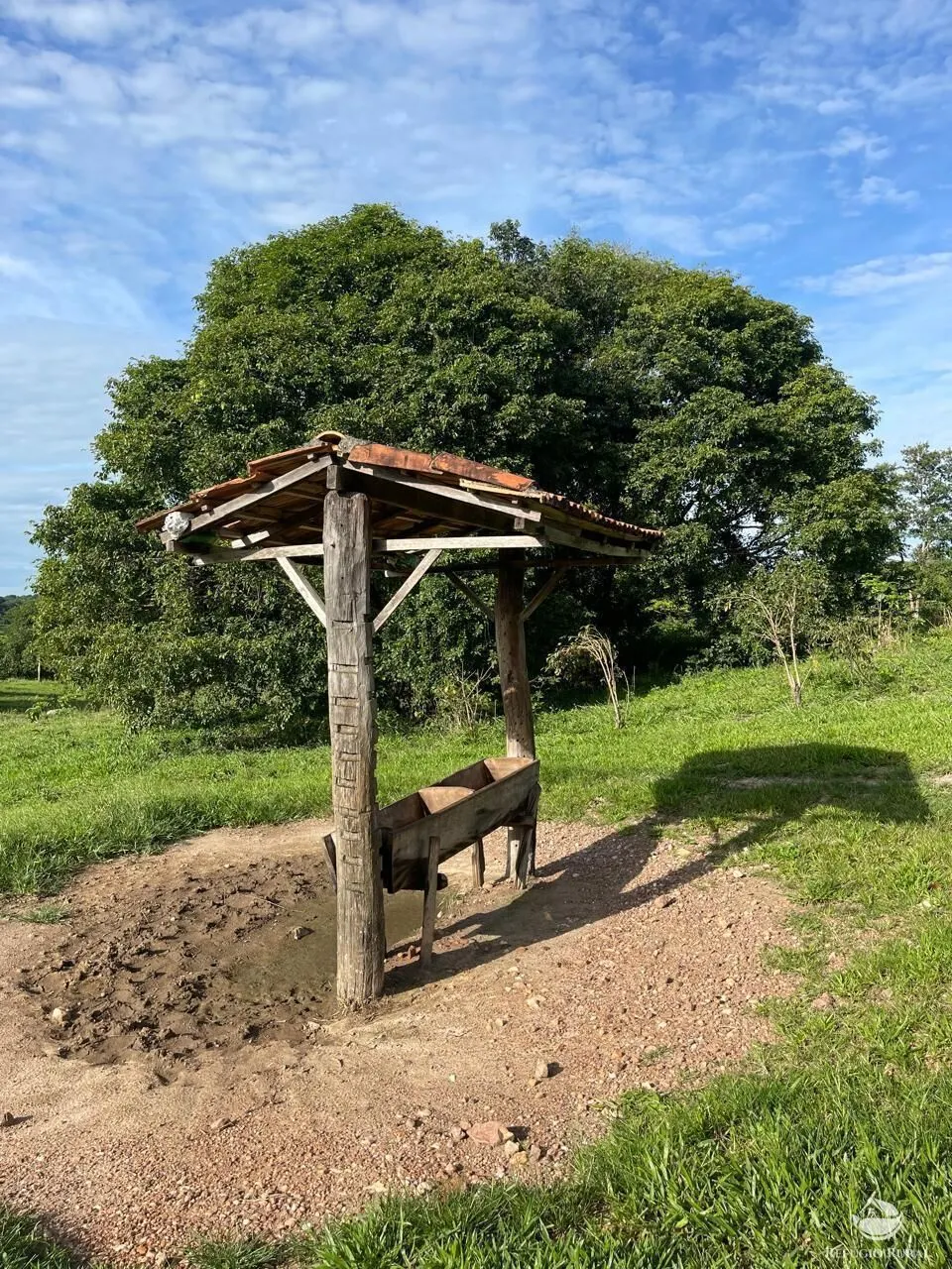 Fazenda à venda de 208 ha em Goiás, GO, Brasil