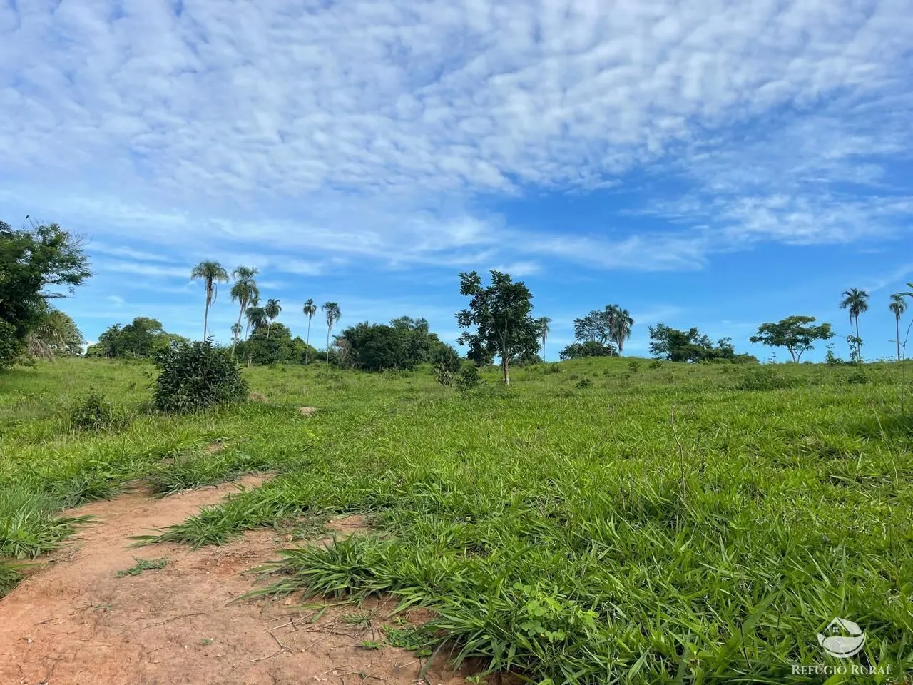 Fazenda à venda de 208 ha em Goiás, GO, Brasil