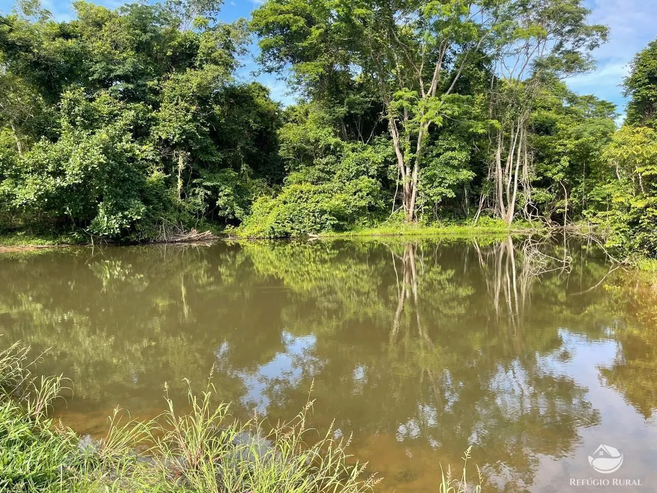 Fazenda à venda de 208 ha em Goiás, GO, Brasil
