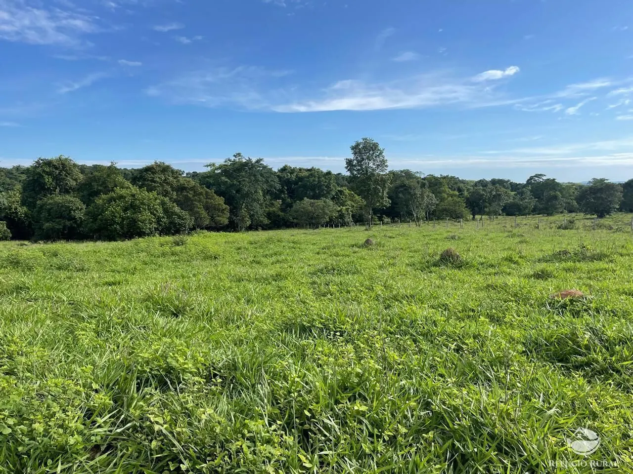 Fazenda à venda de 208 ha em Goiás, GO, Brasil
