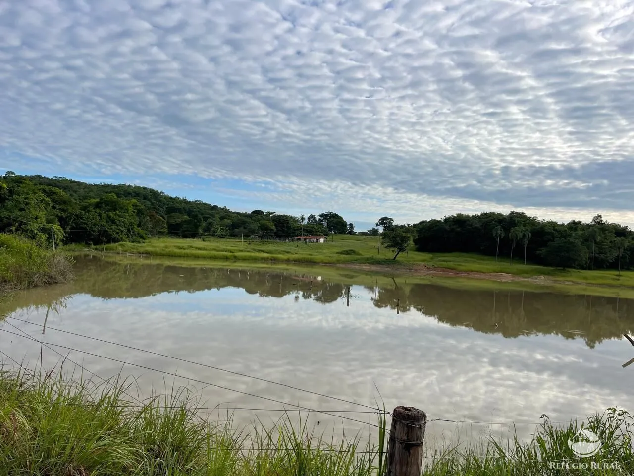 Fazenda à venda de 208 ha em Goiás, GO, Brasil