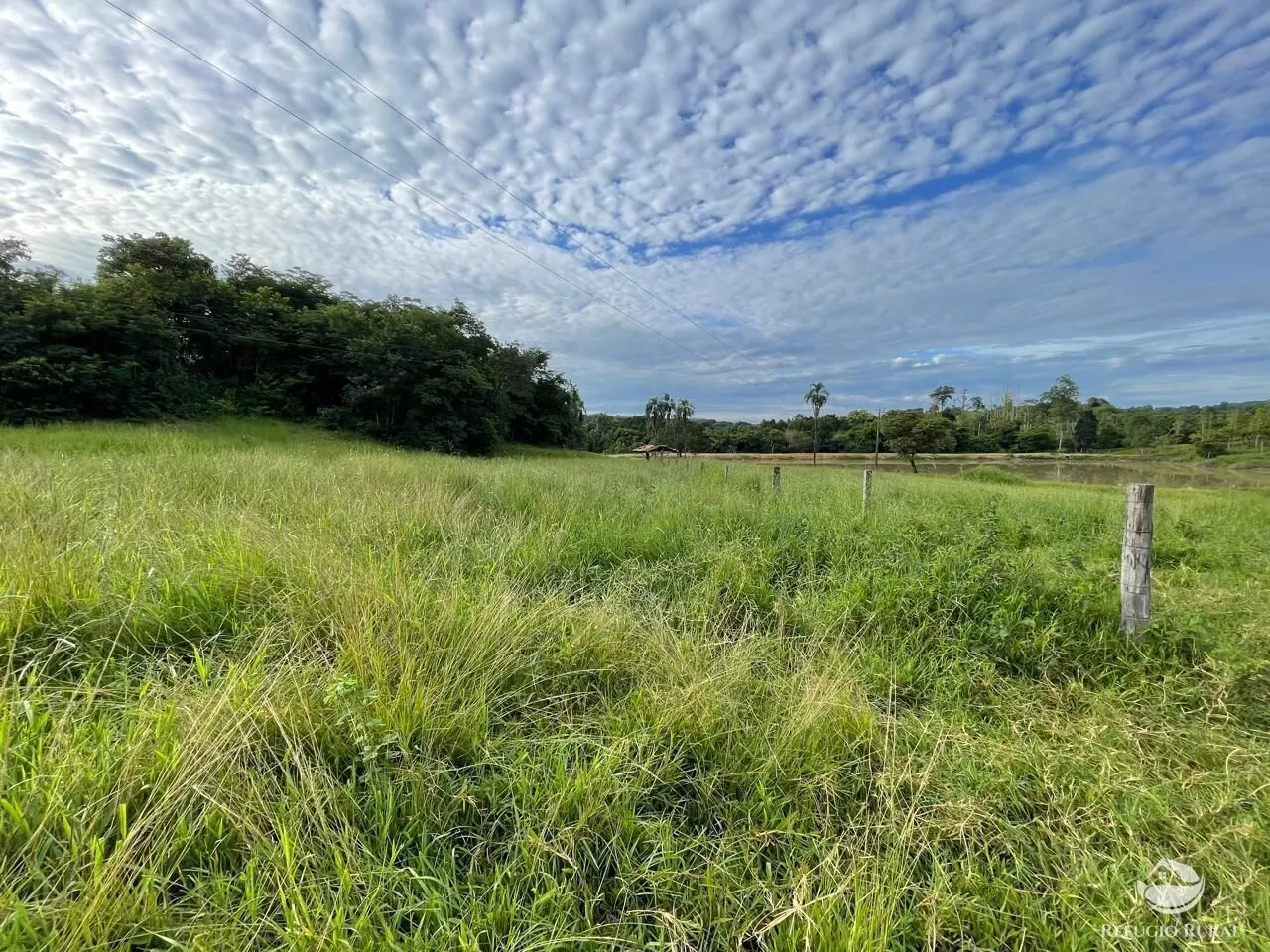Fazenda à venda de 208 ha em Goiás, GO, Brasil
