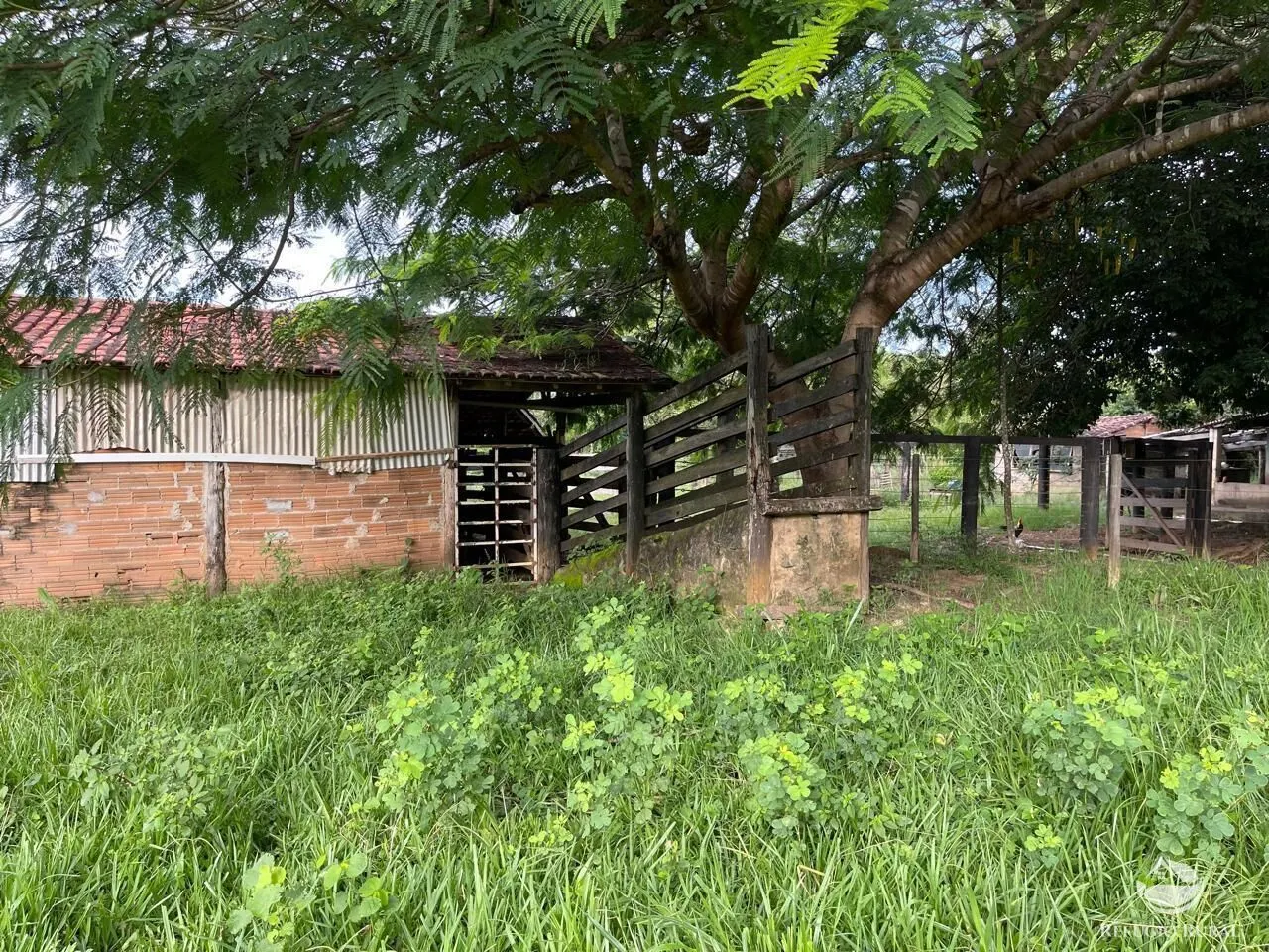 Fazenda à venda de 208 ha em Goiás, GO, Brasil