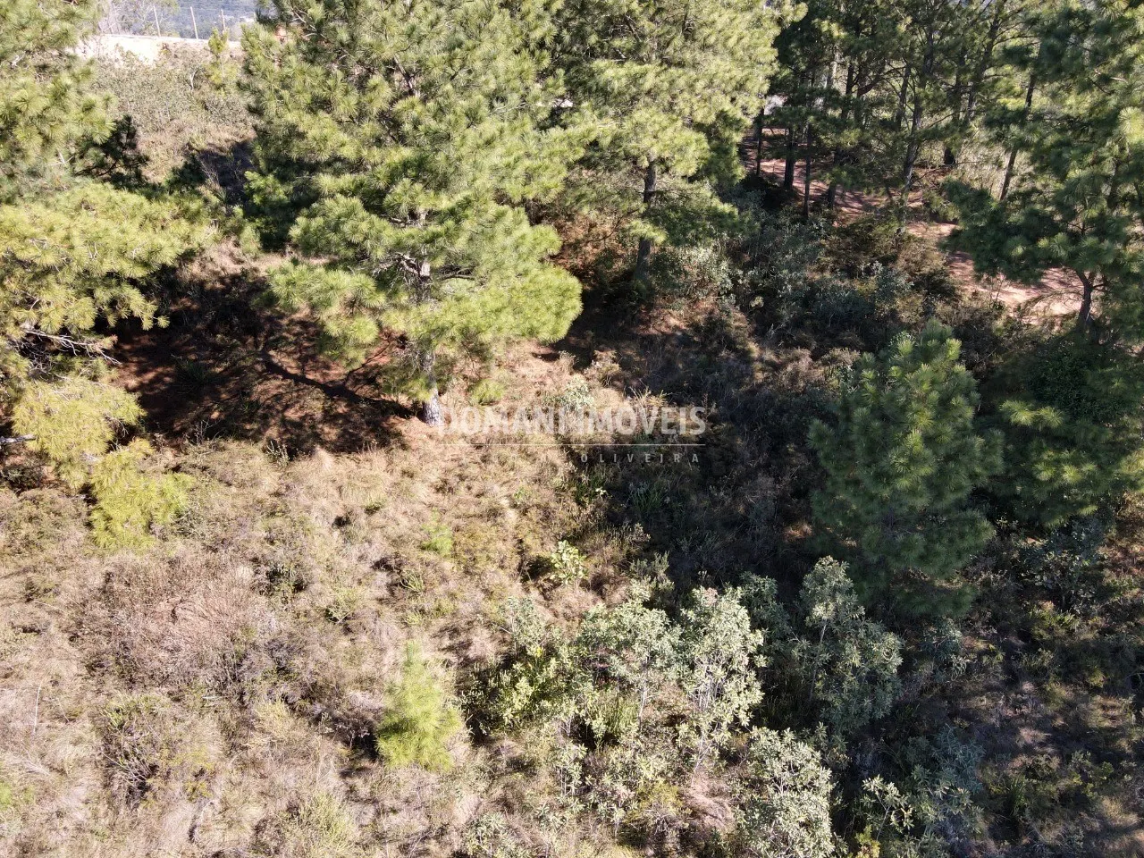 Terreno à venda de 1.030 m² em Campos do Jordão, SP, Brasil