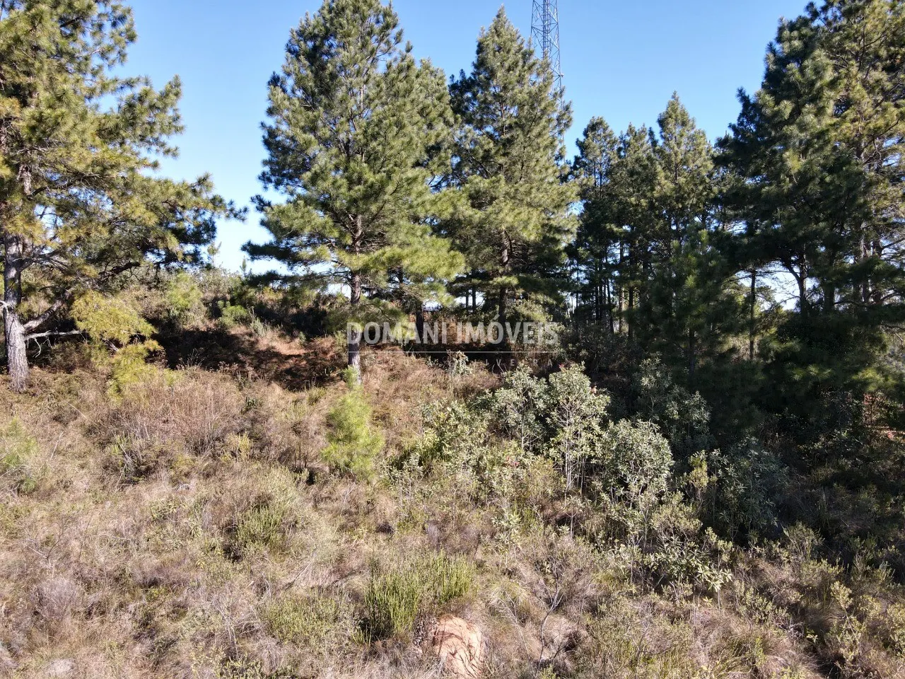 Terreno à venda de 1.030 m² em Campos do Jordão, SP, Brasil