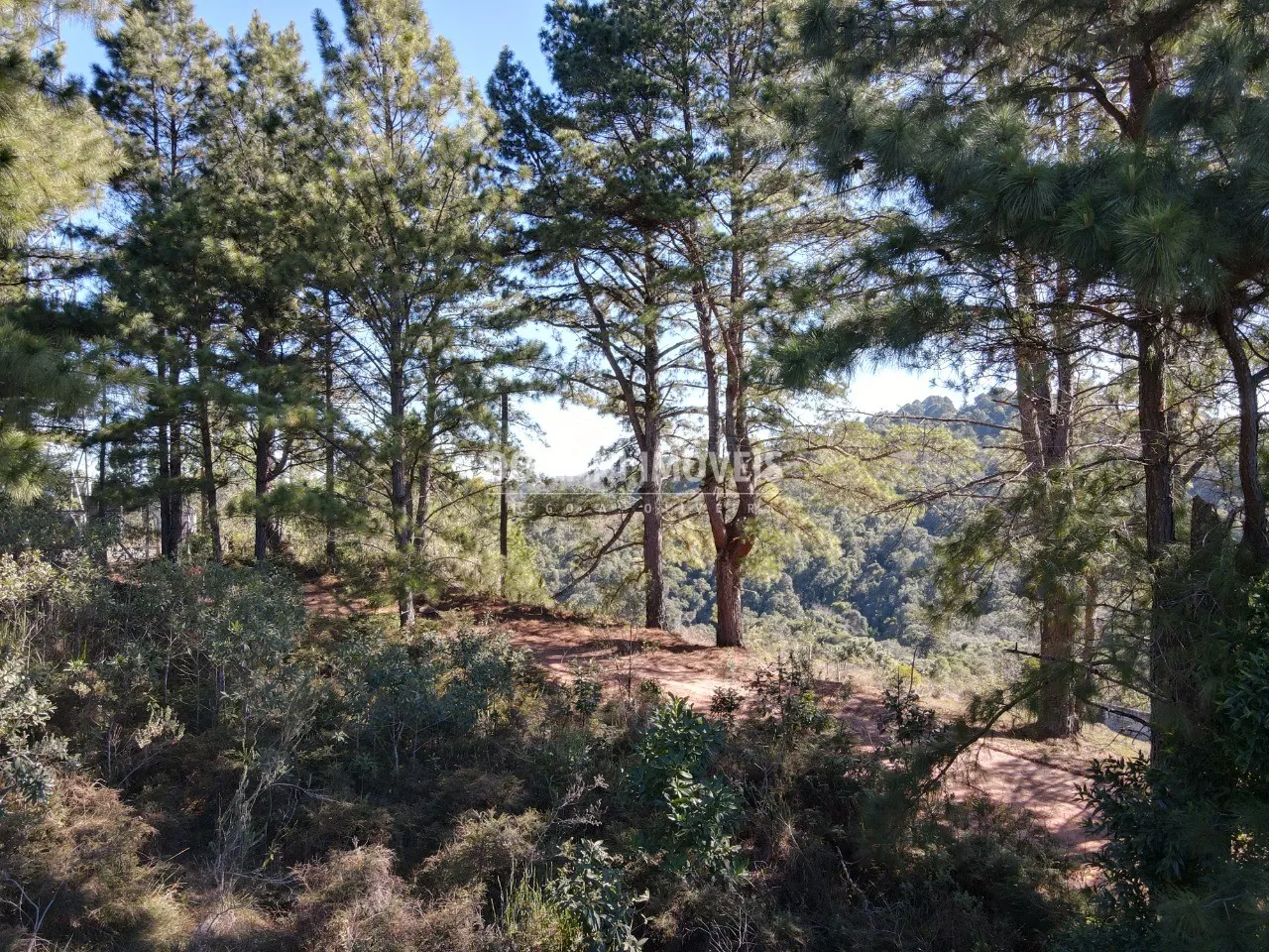 Terreno à venda de 1.030 m² em Campos do Jordão, SP, Brasil